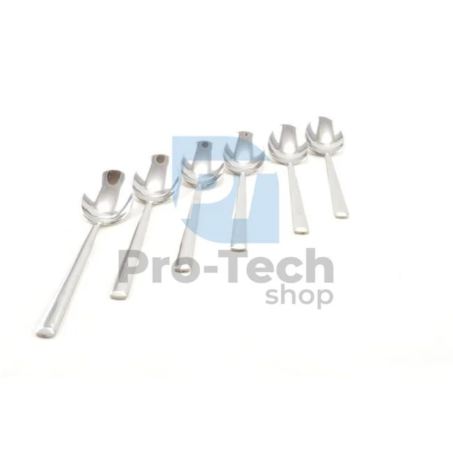 6-teiliges Set aus Edelstahl-Bestecklöffeln Paris 52776