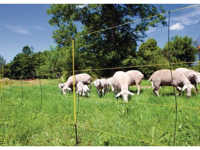 EasyNet Schafnetz 50m