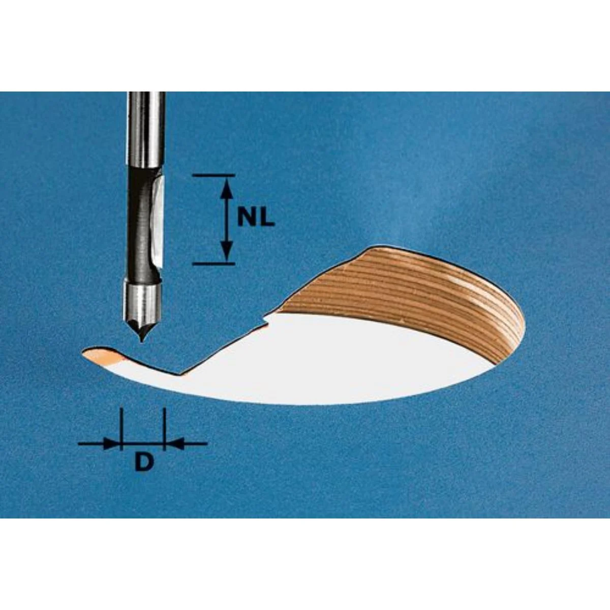 Festool Bohrfräser HW S8 D8 /19