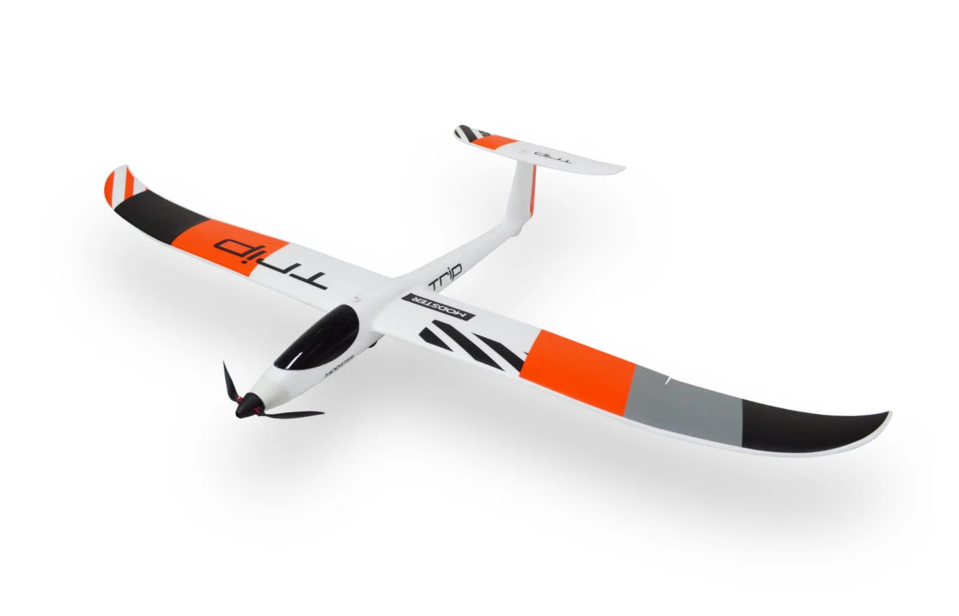 Modster Trip RC Elektro Segler PUP