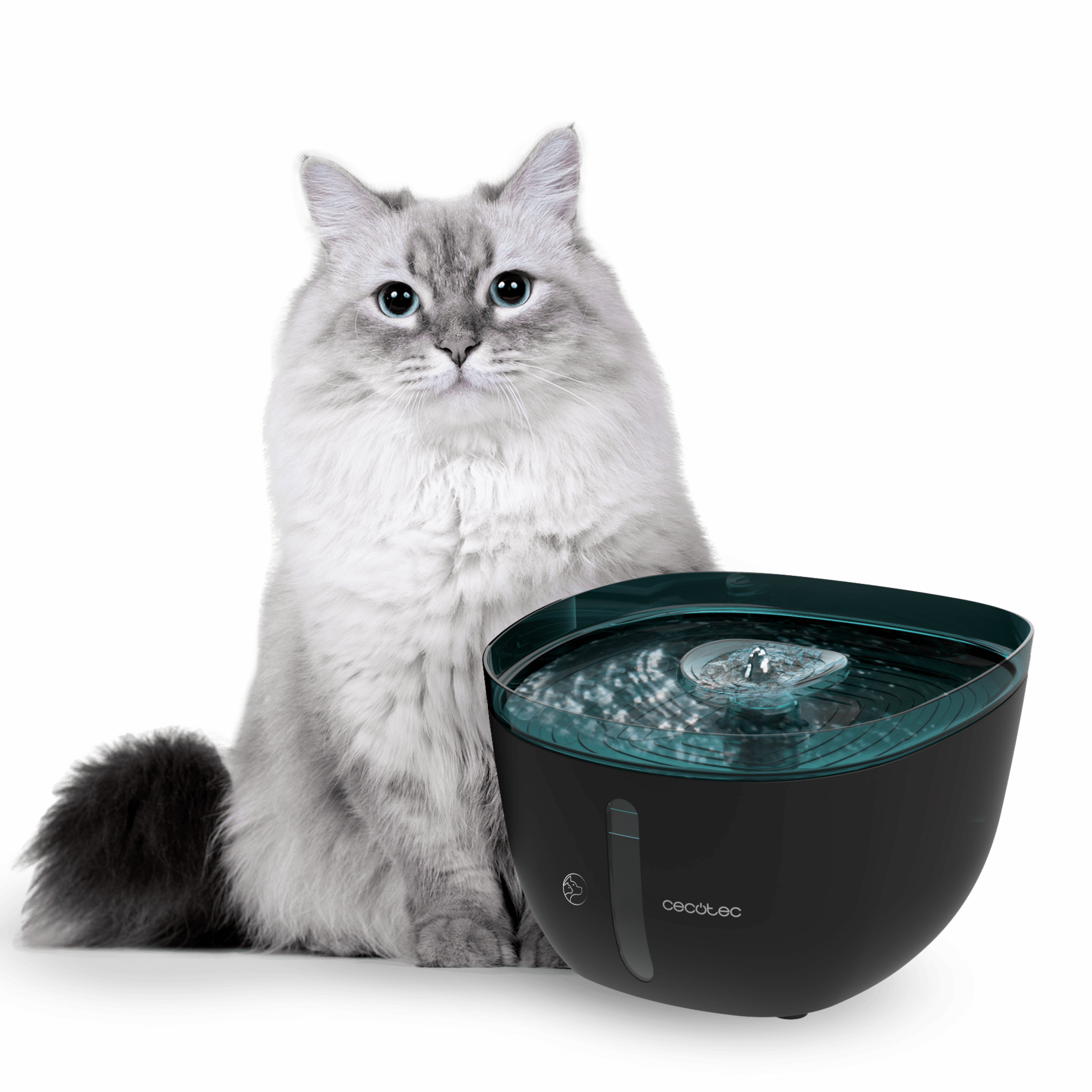 Pumba 2200 Refresh Automatischer Haustierbrunnen mit 2 Liter Fassungsvermögen, inklusive Filter und Innenbeleuchtung.