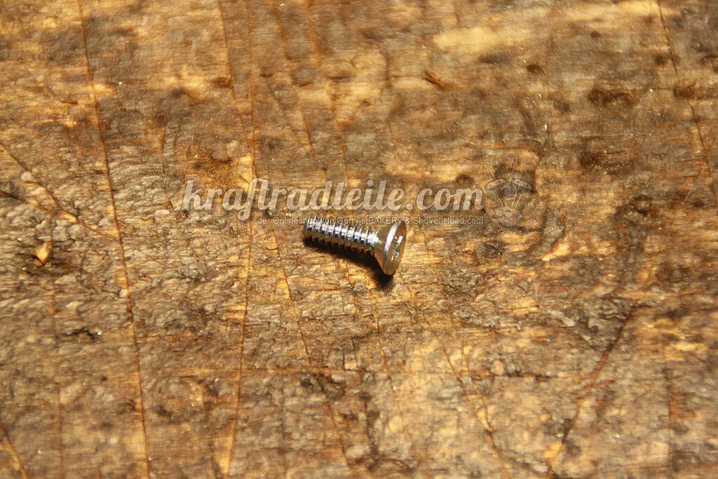 Schraube für Federrückhalteplatte im Ratchet Top