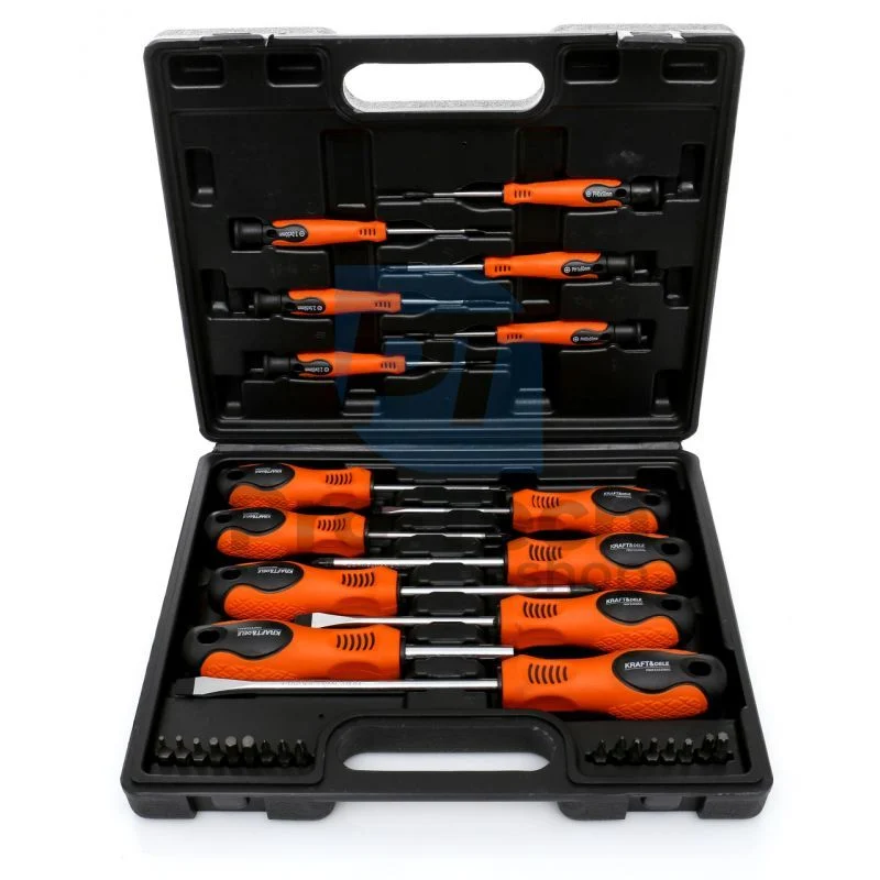 Schraubendreher- und Bitsatz 32-teilig 10770