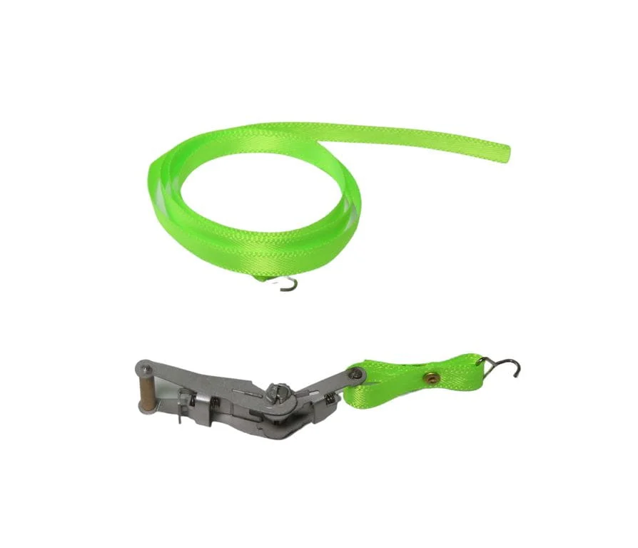 Thicon 1:10 Spanngurt grün mit Ratschen-Funktion aus Edelstahl